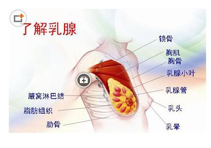 导致女性患乳腺增生的原因